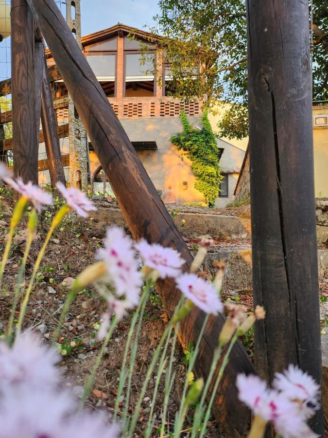 Il Giuggiolo - La Collina Della Quiete Bed and Breakfast Certaldo Exterior foto